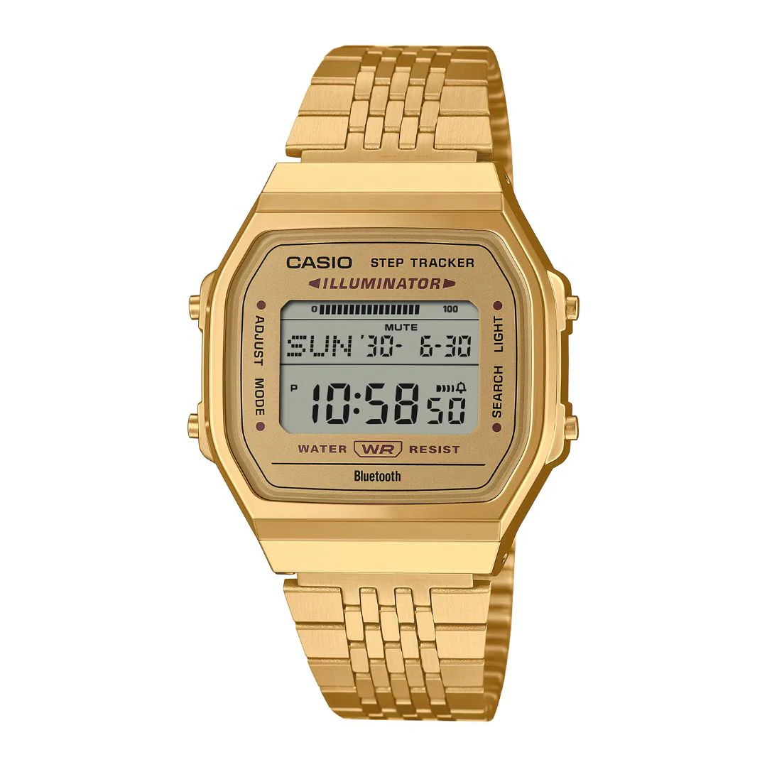 Casio Vintage ABL-100WEG-9AEF rannekello