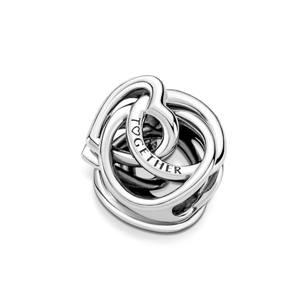 Pandora Moments Family Always Encircled Heart hela, hopea, 791507C00 - Image 4