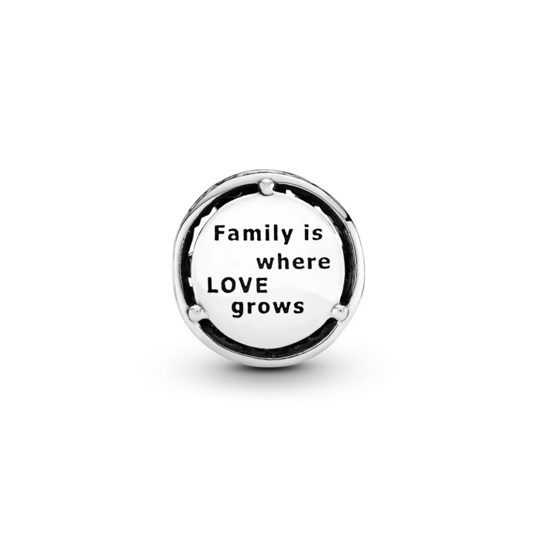 Pandora Moments Openwork Family Roots hela, hopea, 797590 - Image 2