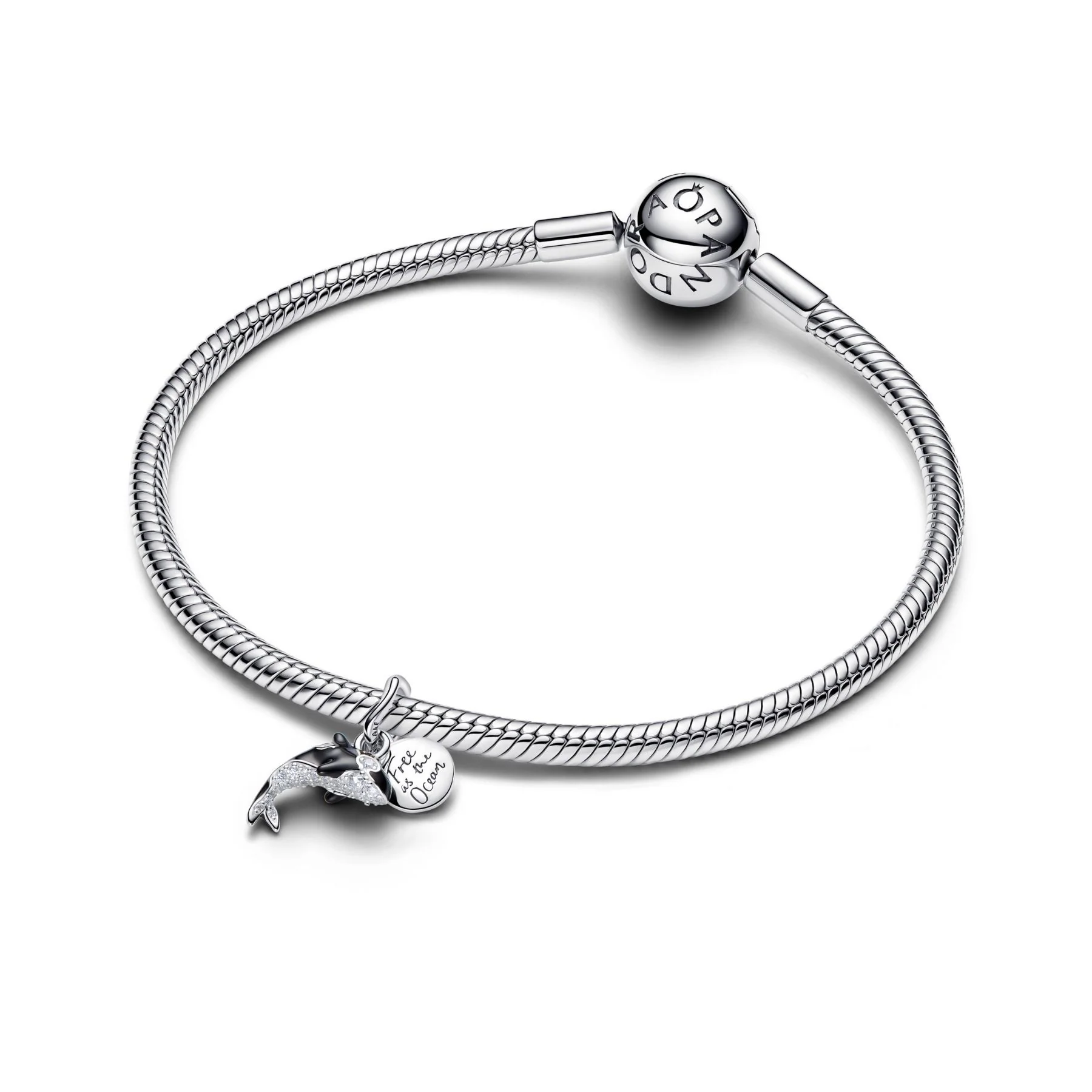 Pandora Moments Orca hela, hopeaa, 794683C01 - Image 3